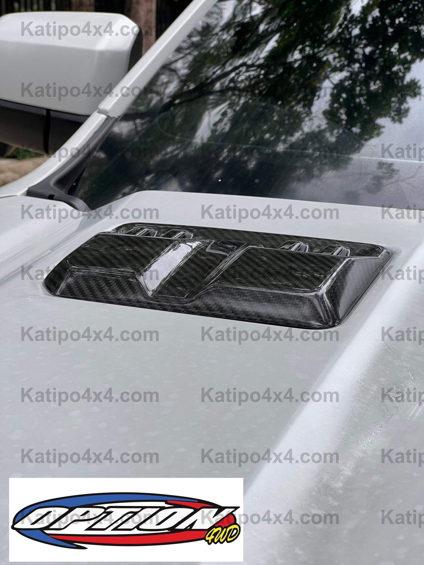 Real Carbon Fibre NEXT-GEN RAPTOR EXTERIOR REPLACEMENTS