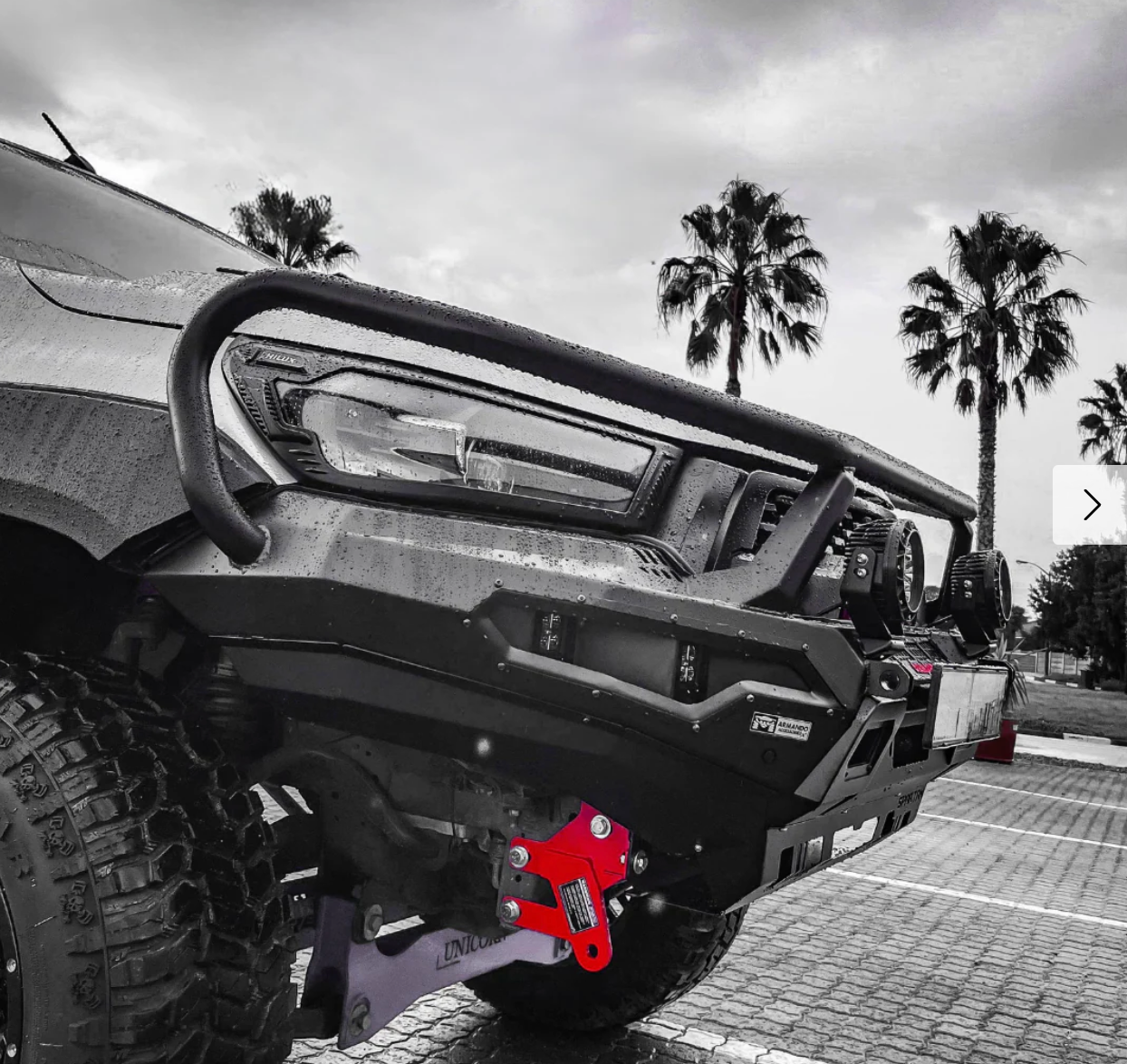 ARMANDO - Spartan Hoop Bull Bar Toyota Hilux N80 2020-2025+