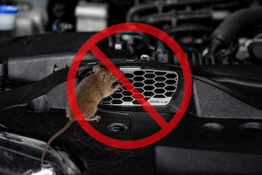Mouse & Bird Air Intake Grill Protection for  2022+ Ford Ranger,Everest & raptor (2012-2026+) FREE WORLDWIDE SHIPPING