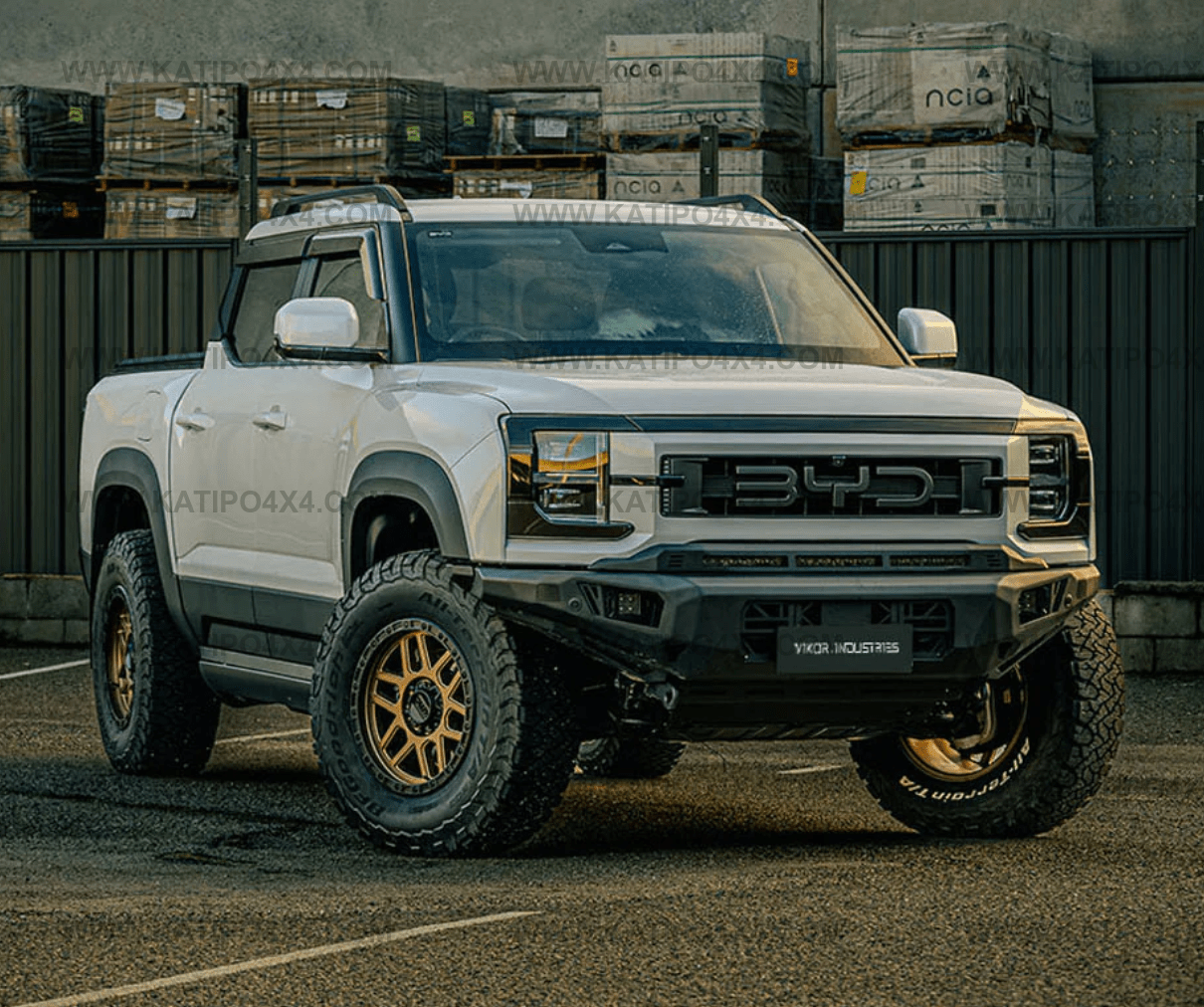 VIKOR - BYD Shark Bull Bar | Diablo (No Loop)