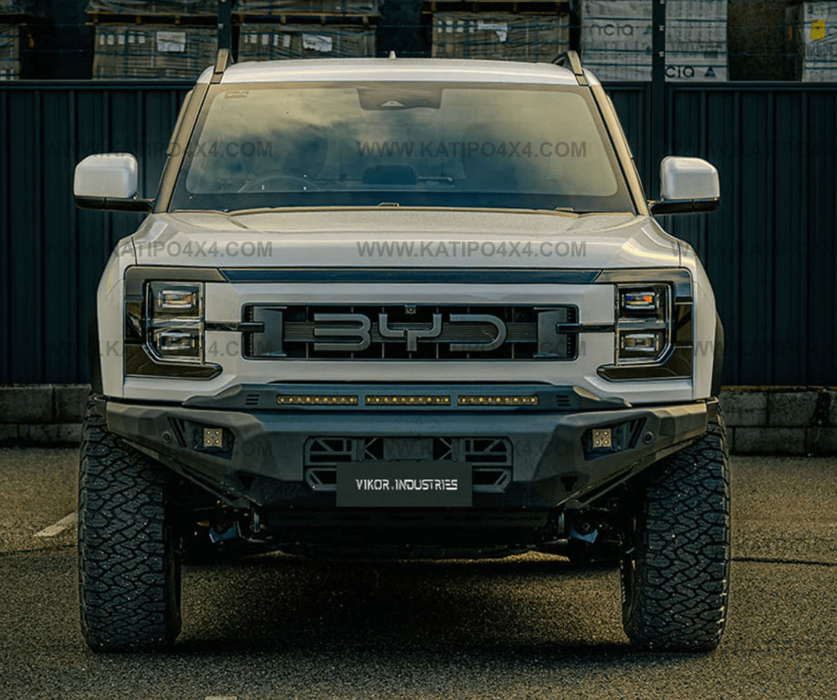 VIKOR - BYD Shark Bull Bar | Diablo (No Loop)