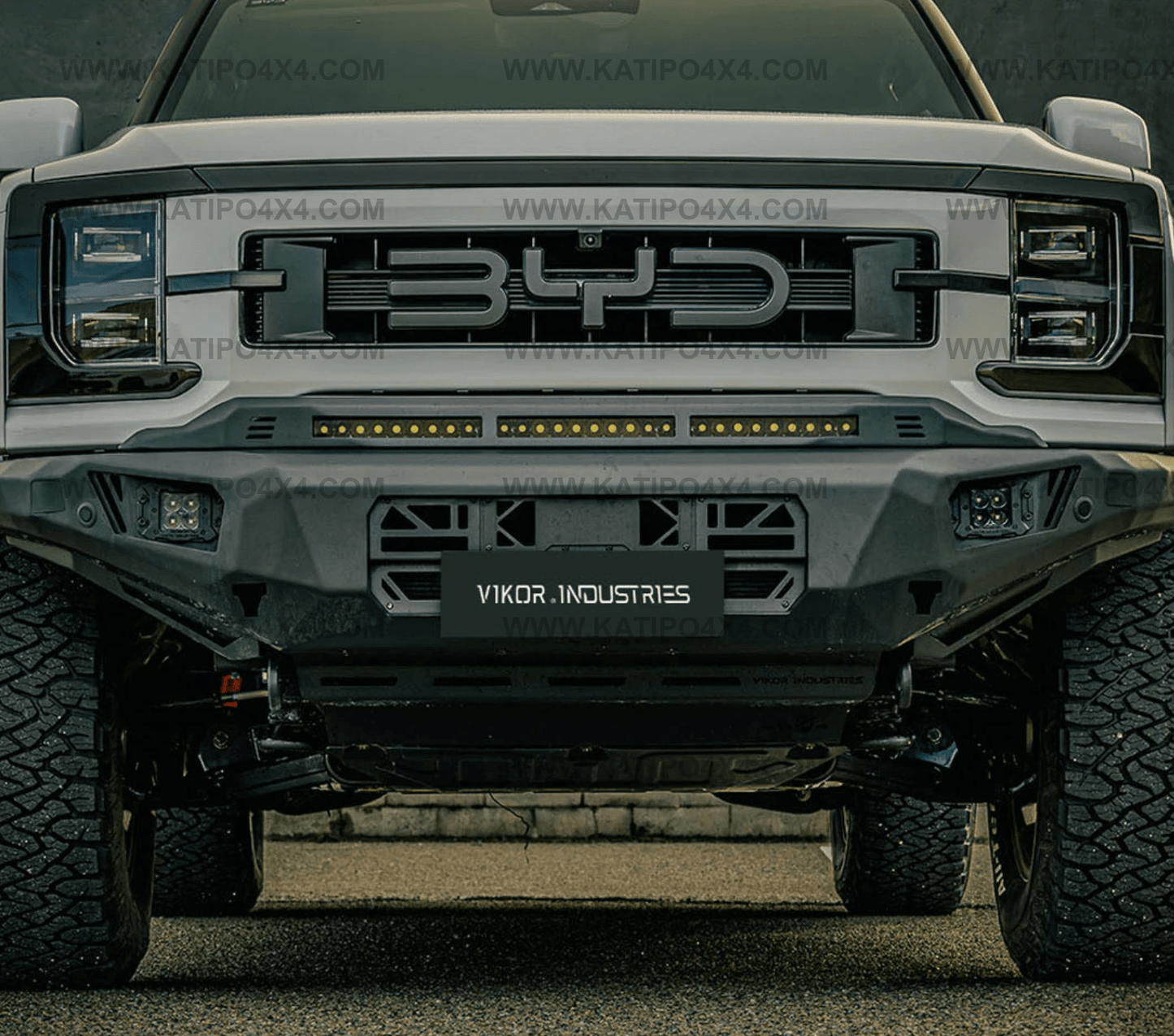 VIKOR - BYD Shark Bull Bar | Diablo (No Loop)
